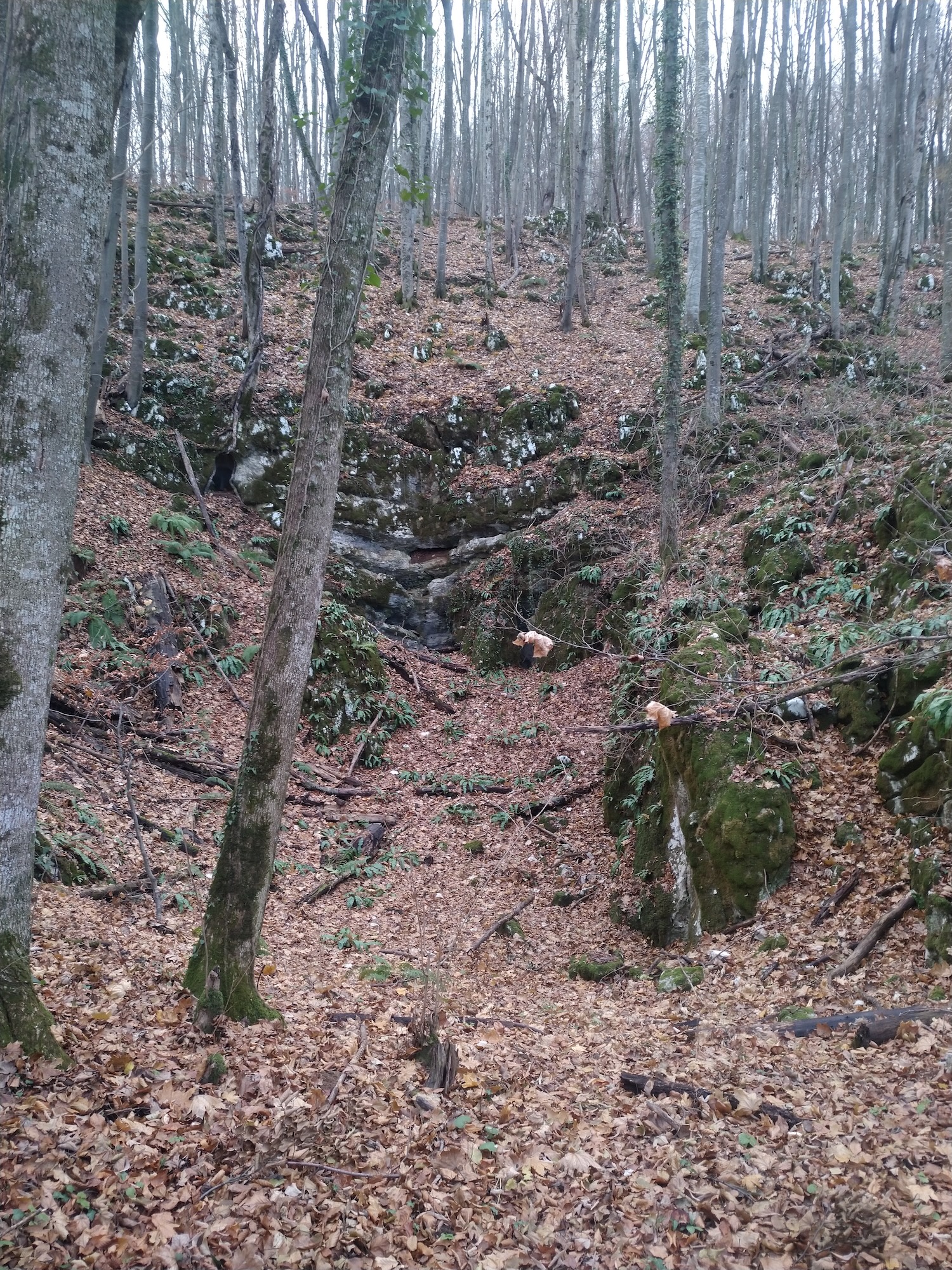 Pestera cu Meandre - Image 6